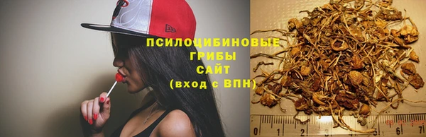 винт Алексеевка
