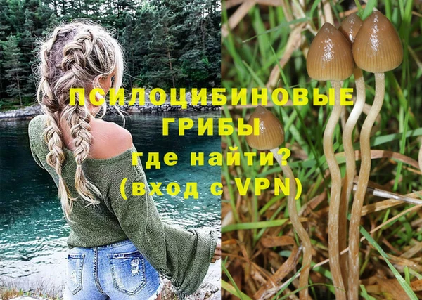 прущая мука Алзамай