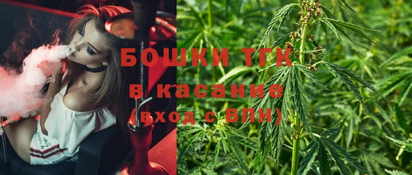 PSILOCYBIN Абаза
