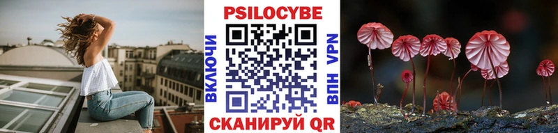 OMG рабочий сайт  Солигалич  Псилоцибиновые грибы Psilocybine cubensis 